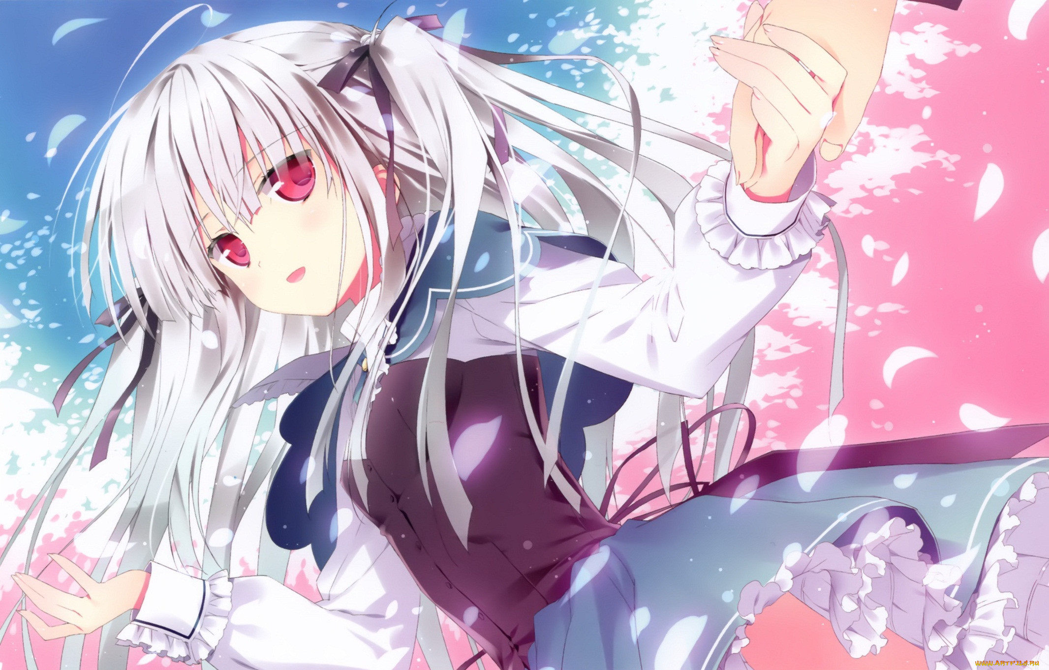 , absolute duo, , 